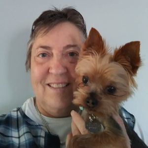 Meet your Posher, Daniele